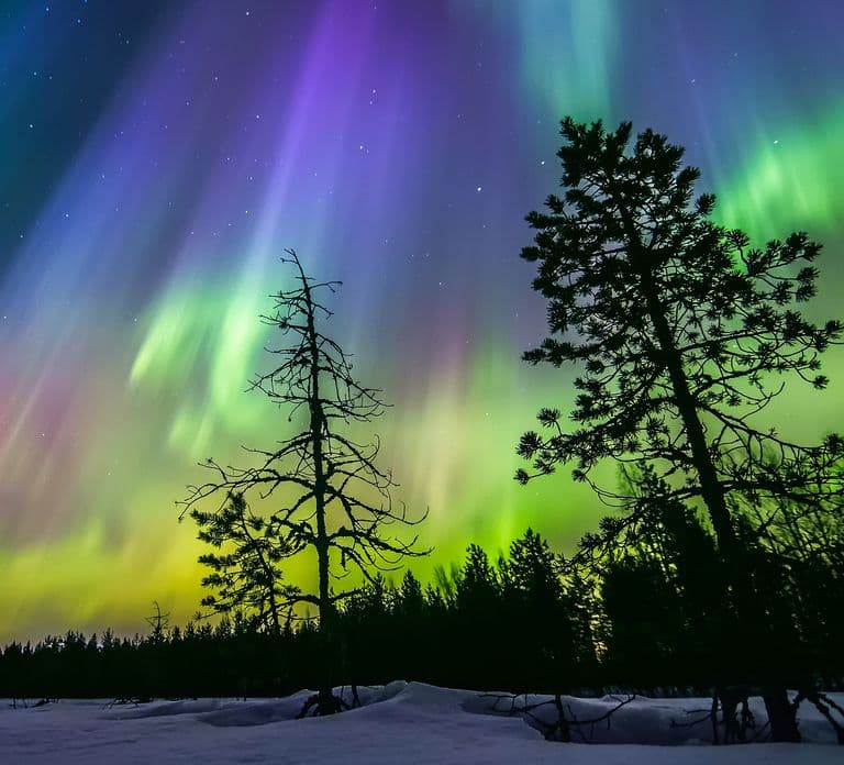 Rovaniemi: IJsdrijven in een bosmeer met het noorderlicht