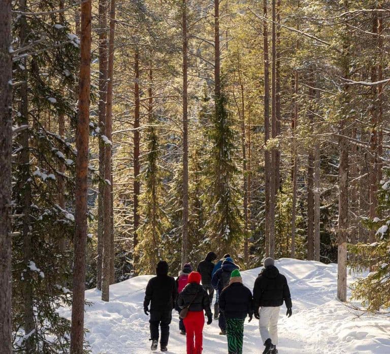 Rovaniemi: Insider Korouoma Frozen Waterfalls tour
