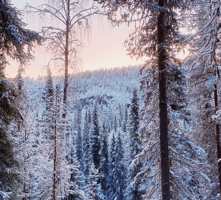 Rovaniemi: Korouoma National Park Canyon & Frozen Waterfalls