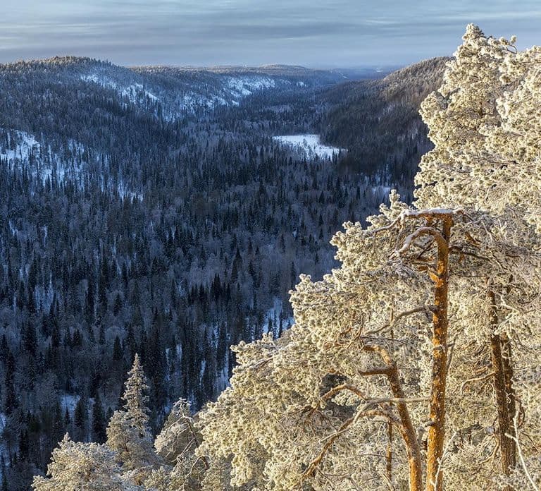 Rovaniemi: Korouoma National Park Canyon & Frozen Waterfalls