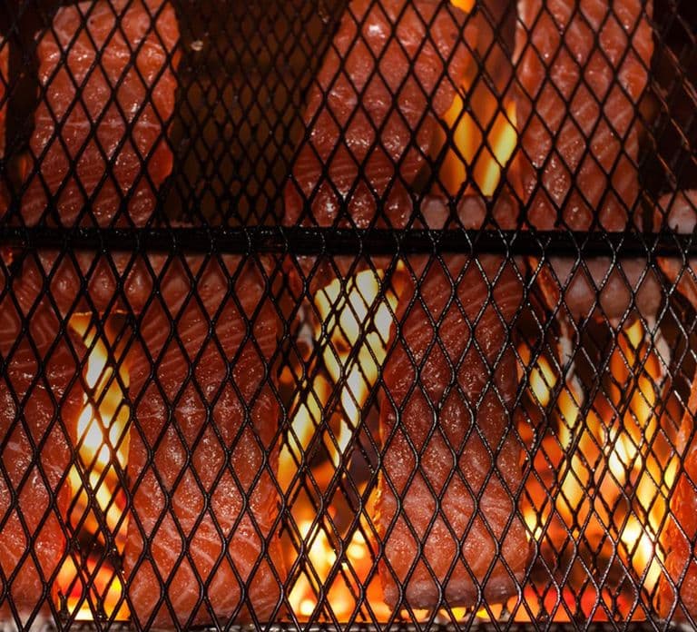 Rovaniemi: BBQ di salmone in Kota e fotografia dell'Aurora Boreale