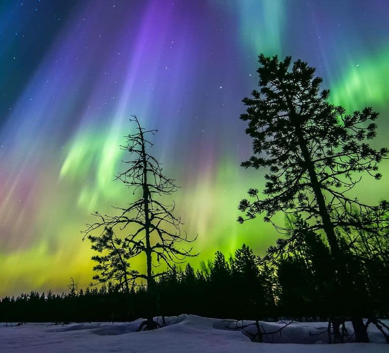 Rovaniemi: Sauna privada junto al lago con Aurora Borealis