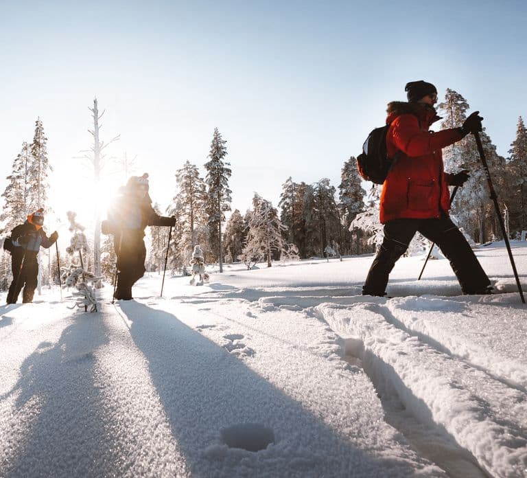 Rovaniemi: Lapland Ski Trekking Safari