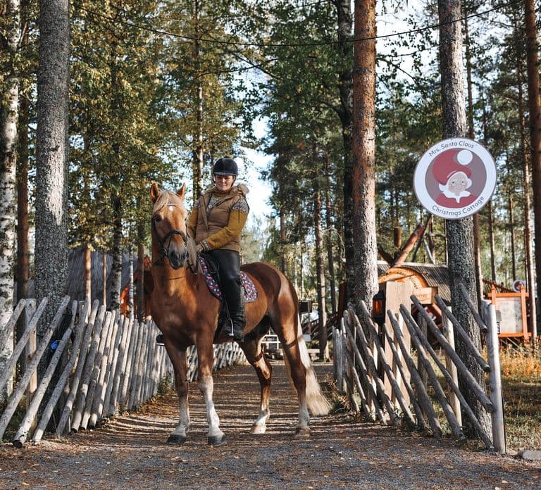 Rovaniemi: Paseo nocturno con caballos finlandeses