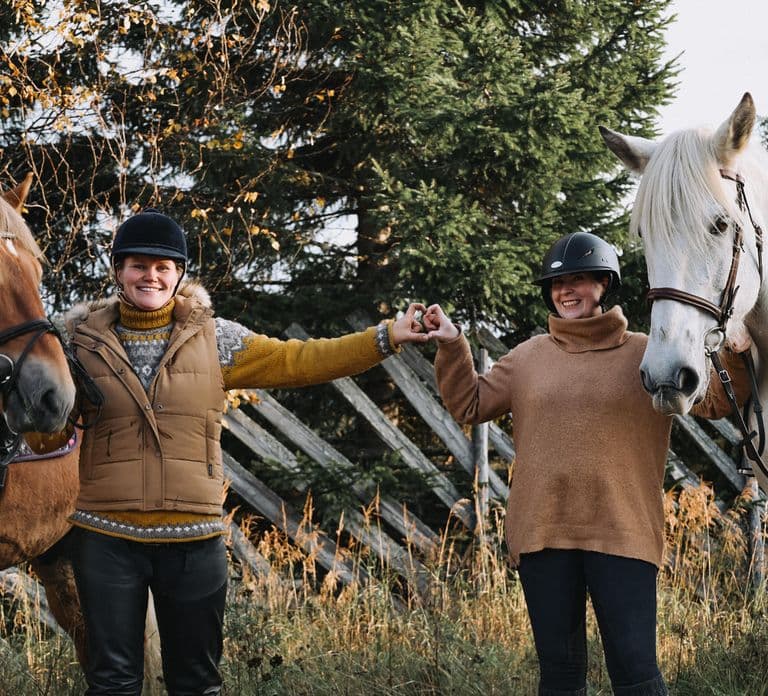 Rovaniemi: Late Night Ride met Finnhorses