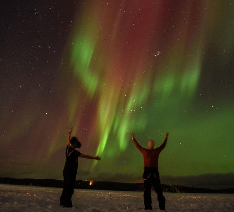 Rovaniemi: Luksusowa wycieczka śladami zorzy polarnej z wykwintnymi przekąskami