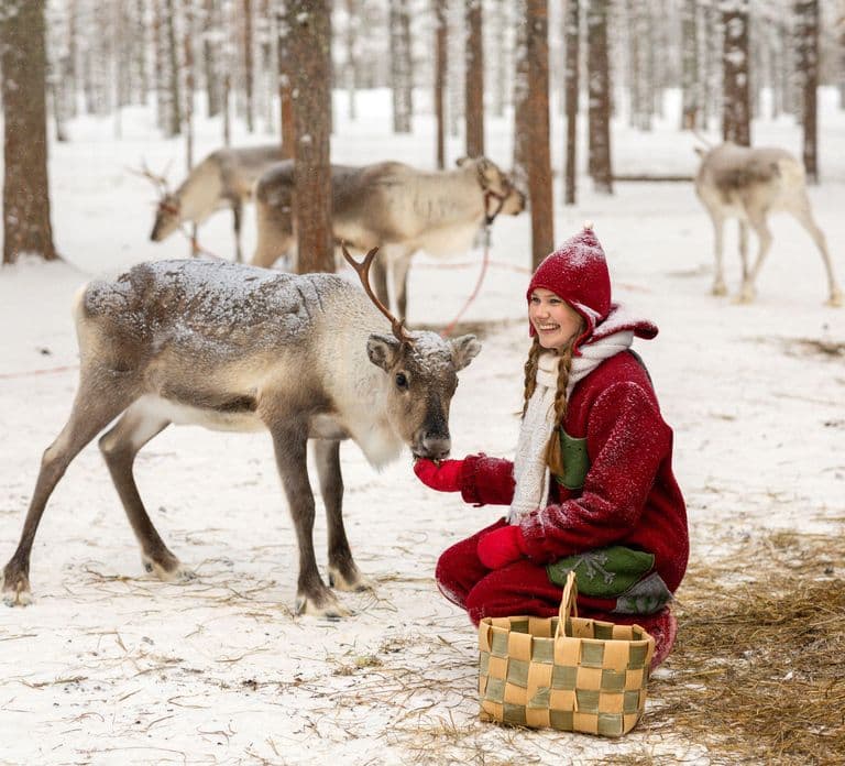 Rovaniemi: Meet Santa's Favorite Reindeer