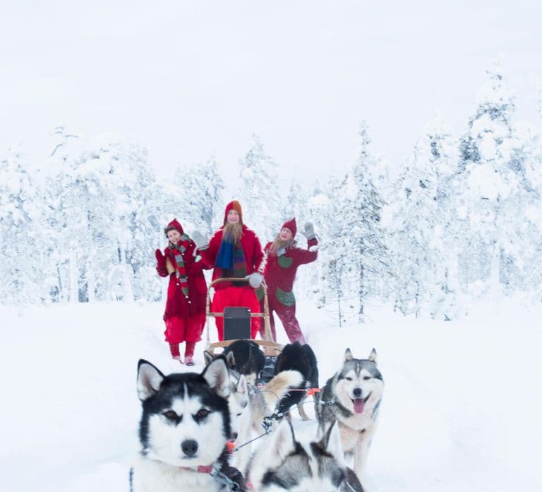 Rovaniemi: Ontmoet de meest vertrouwde husky's van de Kerstman