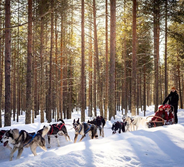 Rovaniemi: Ontmoet de meest vertrouwde husky's van de Kerstman