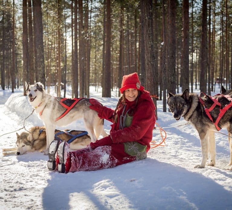 Rovaniemi: Ontmoet de meest vertrouwde husky's van de Kerstman
