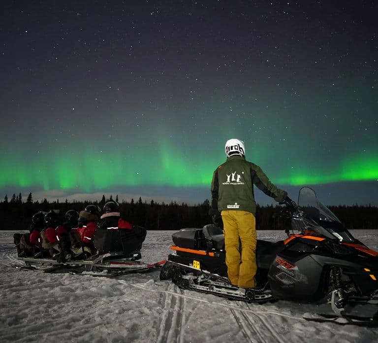 Rovaniemi: Paseo en trineo bajo la aurora boreal