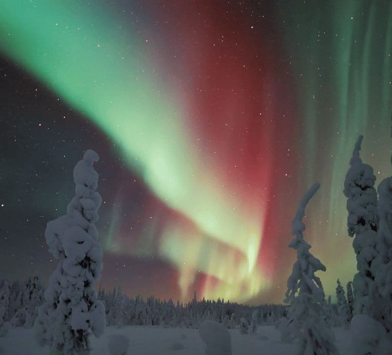 Rovaniemi: Safári de Snowmobile para ver a Aurora Boreal com Fogueira