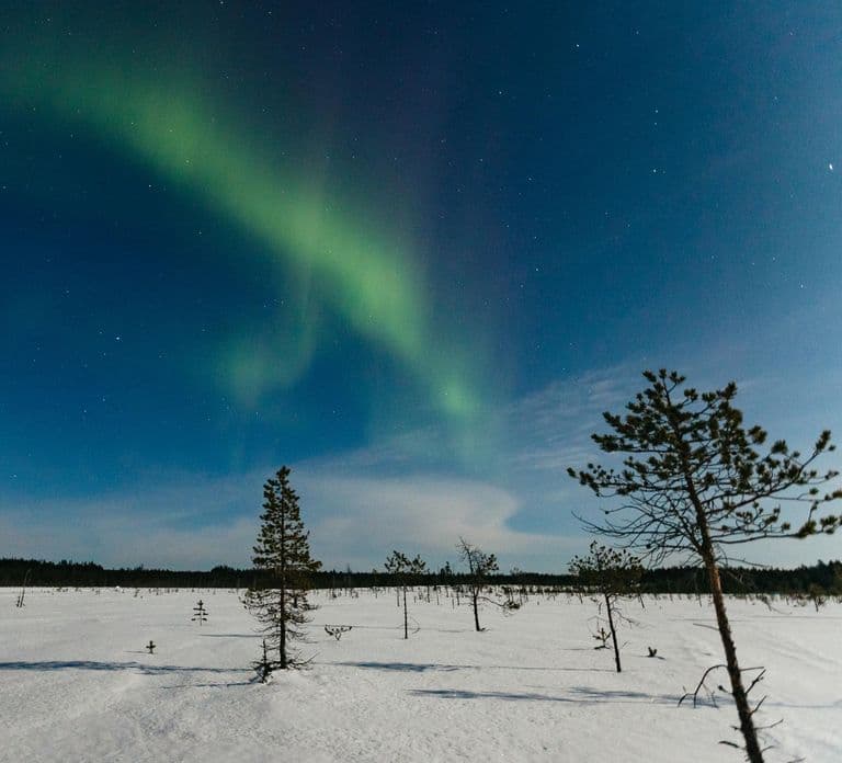 Rovaniemi: Northern Lights Snowmobile Sledge Ride