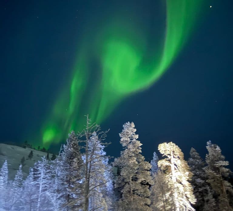 Rovaniemi: Northern Lights Tour - Aurora Viewing Guaranteed