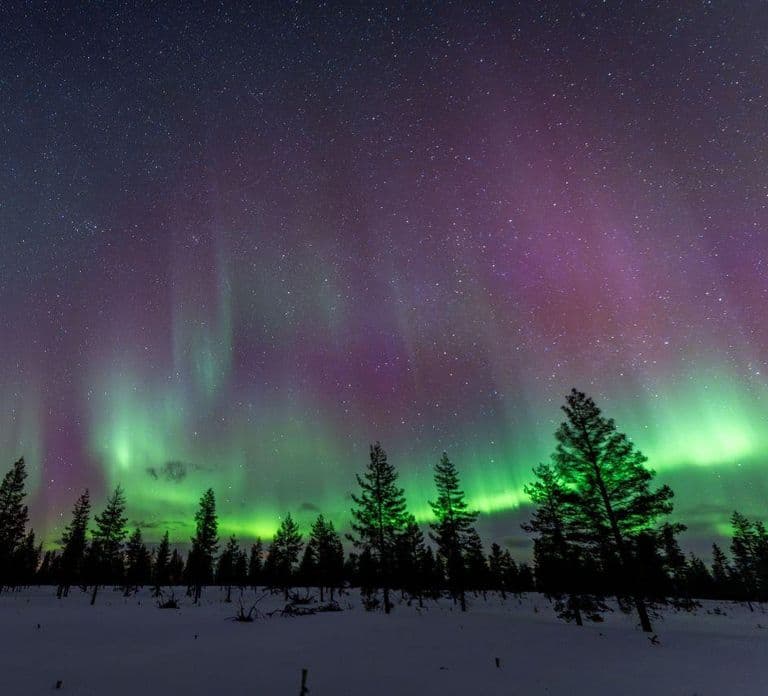 Rovaniemi: Northern Lights Tour with Aurora Guarantee