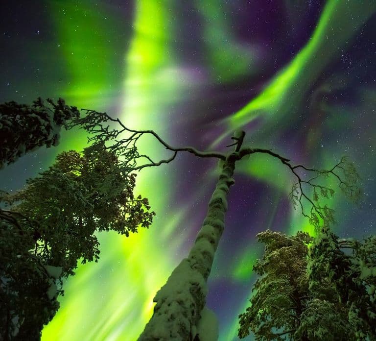 Rovaniemi: Prywatna przygoda z zorzą polarną, zdjęcia i certyfikat