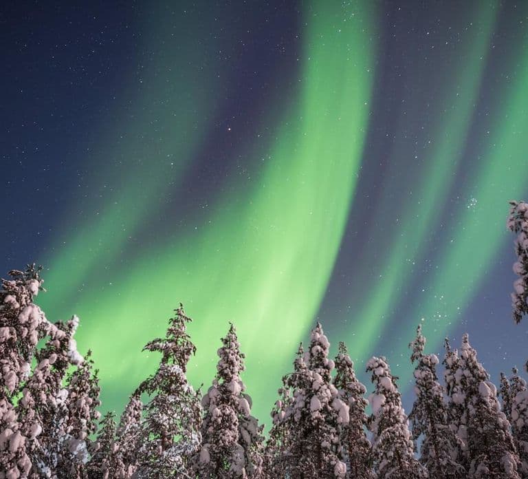 Rovaniemi: Prywatna przygoda z zorzą polarną, zdjęcia i certyfikat