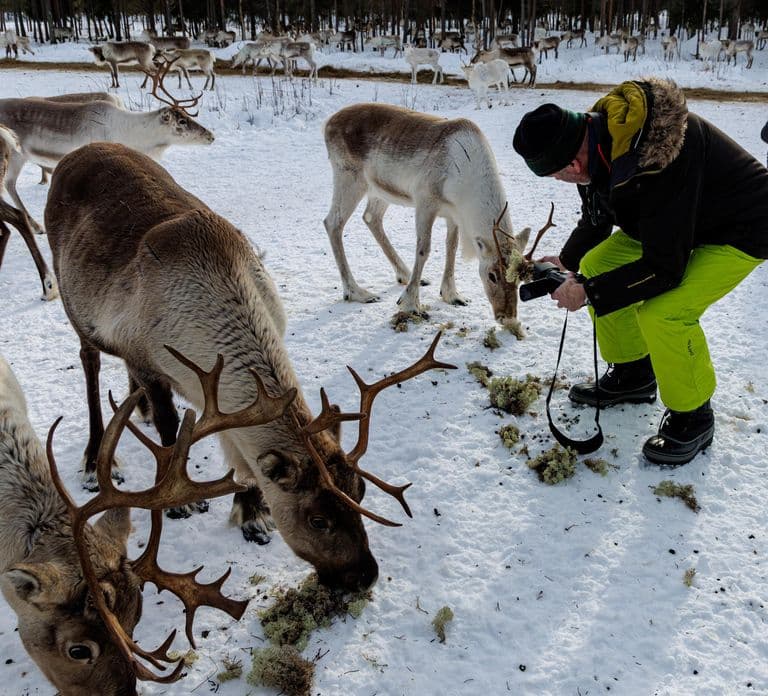 Rovaniemi : Visite privée d'une ferme de rennes et expérience culturelle