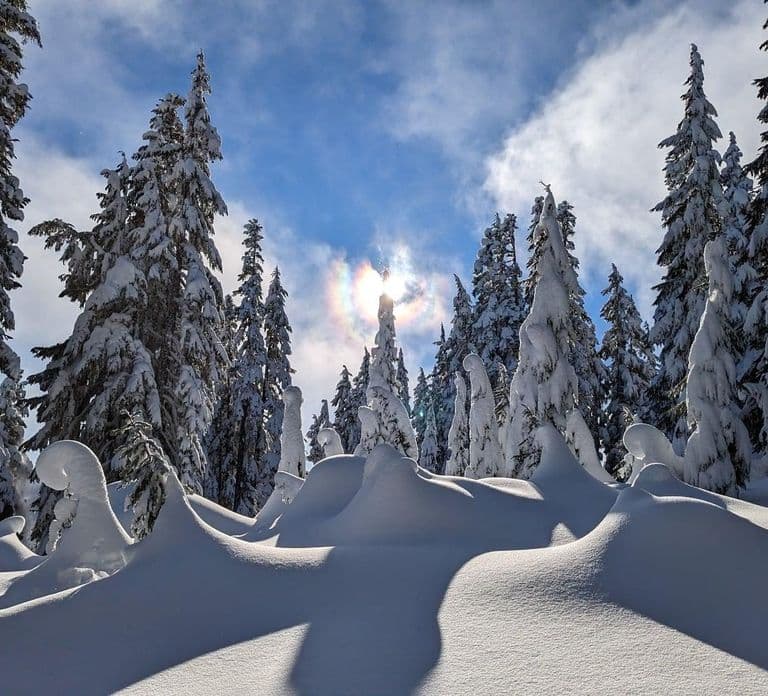Rovaniemi : Expérience de ski privée avec un membre de l'équipe nationale