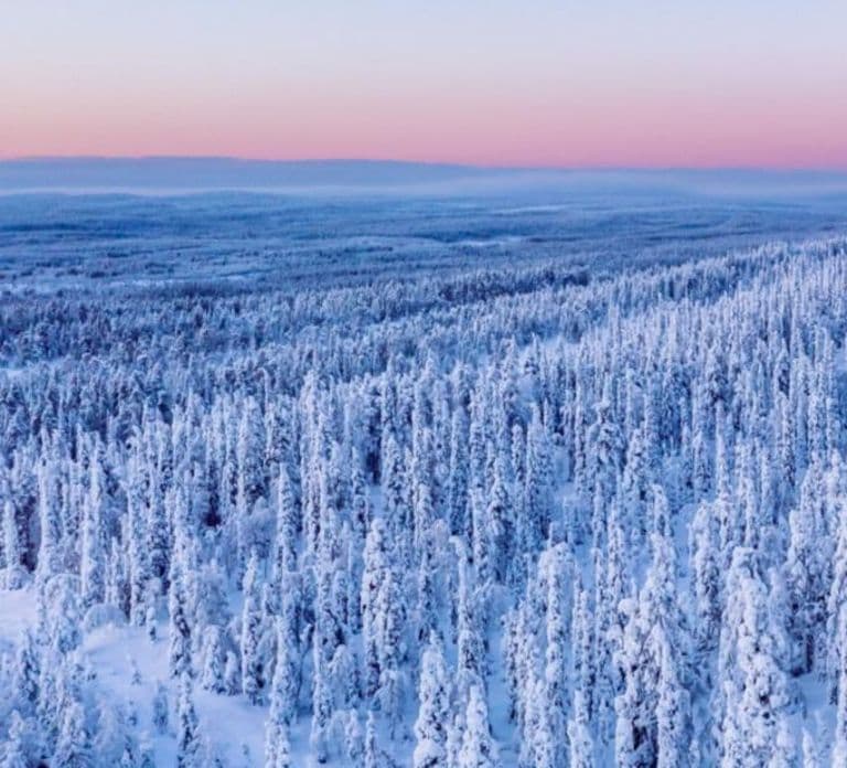 Rovaniemi: Experiência de Esqui Privada com Membro da Seleção Nacional