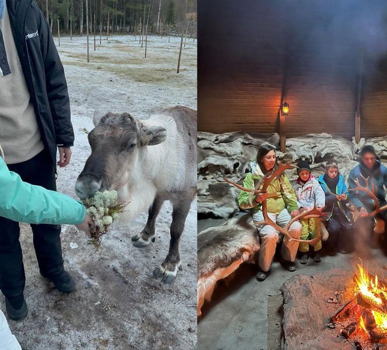 Rovaniemi: Reindeer & Husky Safari with Lunch