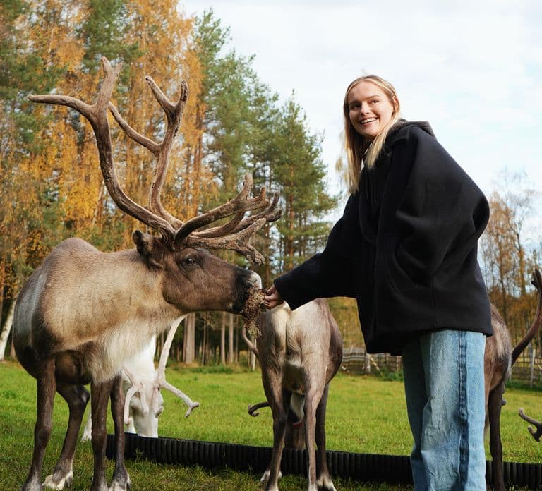 Rovaniemi: Reindeer Farm Tour with Sledge Ride & Pickup