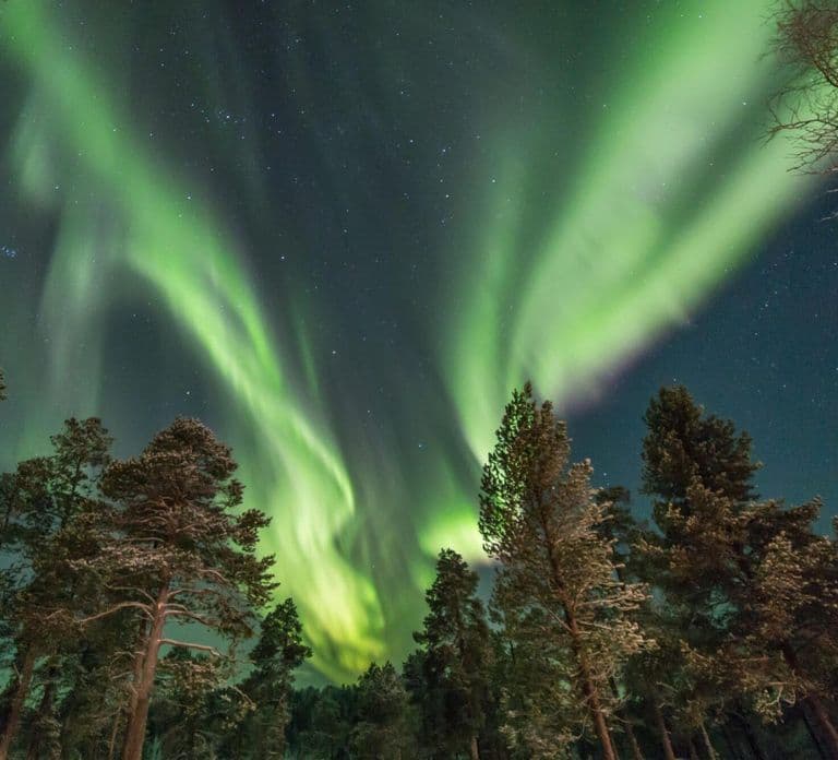 Rovaniemi: Reindeer Safari and Northern Lights Tour