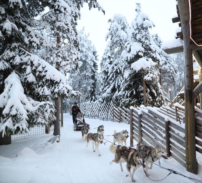 Rovaniemi: Santa Claus Village con paseo en trineo de huskies y renos