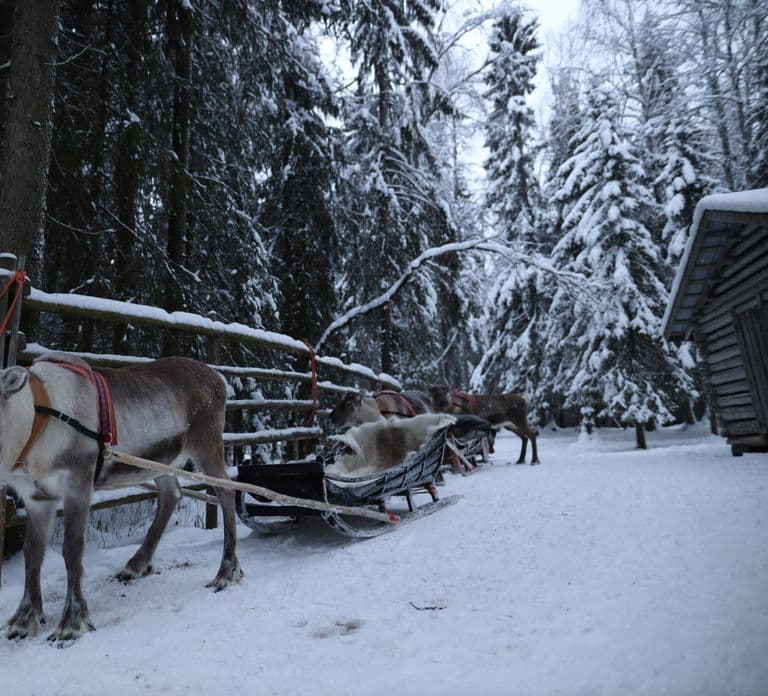 Rovaniemi: Santa Claus Village con paseo en trineo de huskies y renos
