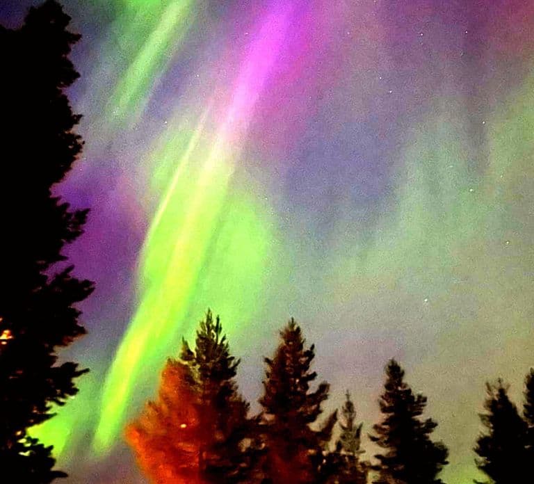 Rovaniemi: Santa's Reindeer and Husky Safari with Aurora BBQ