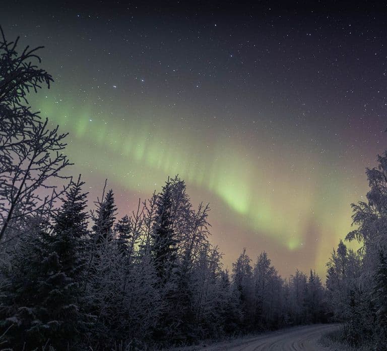 Rovaniemi: Sauna & Ice Swimming Tour with Dinner and Aurora