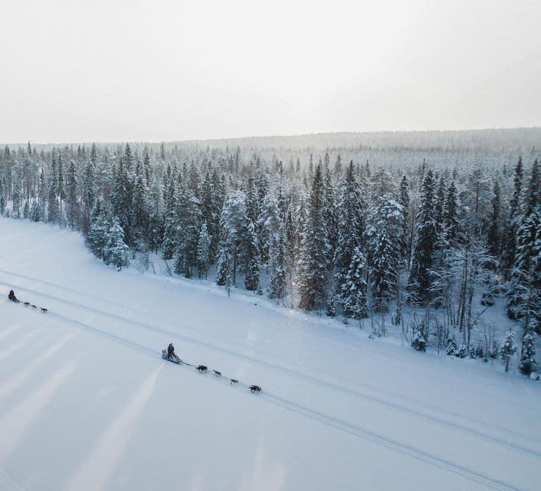 Rovaniemi: Self-Driving Husky Tour 7-kilometers