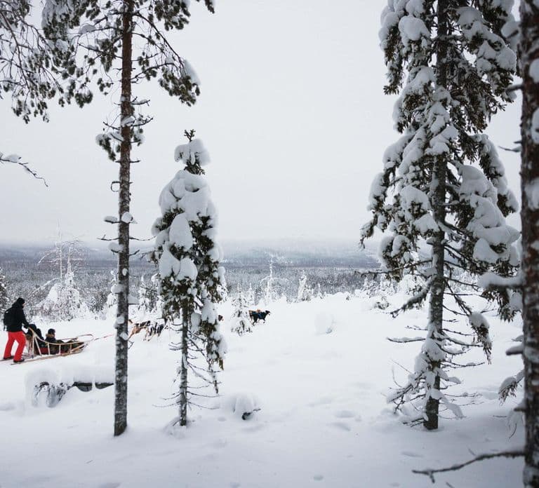 Rovaniemi: Self-Driving Husky Tour 7-kilometers