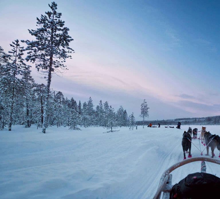 Rovaniemi: Kameralna wycieczka z psimi zaprzęgami (12-18 km) tylko dla dorosłych