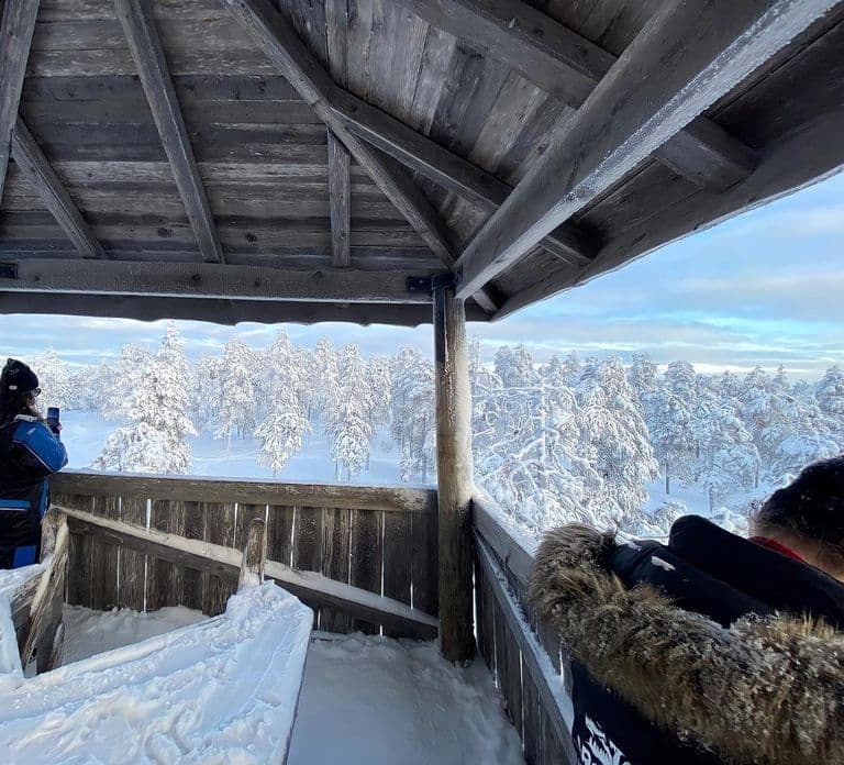 Rovaniemi: Small-Group Snowshoe Tour at Vikaköngäs & BBQ