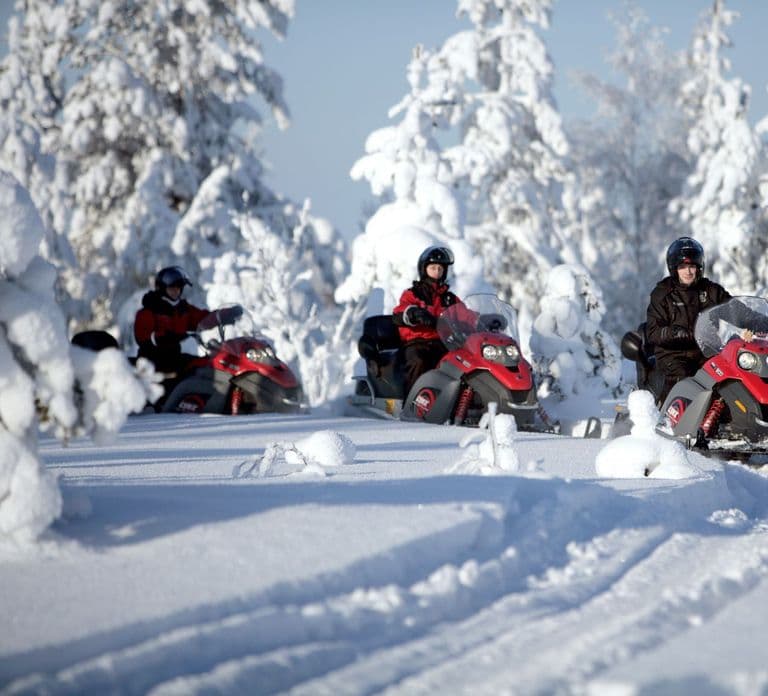 Rovaniemi: Snowmobile Safari Adventure