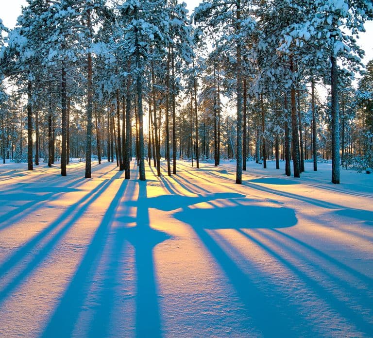 Rovaniemi: Snowmobile Safari Adventure