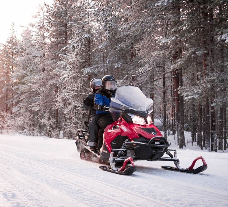 Rovaniemi: Snowmobile Safari into the Arctic Circle Forest