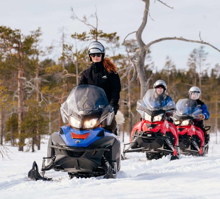 Rovaniemi: Safari en moto de nieve por la naturaleza salvaje