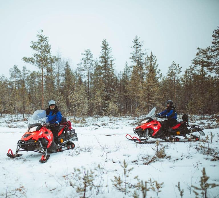 Rovaniemi: Safari en moto de nieve por la naturaleza salvaje