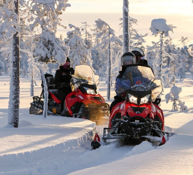 Rovaniemi: Safari in motoslitta verso un allevamento di renne