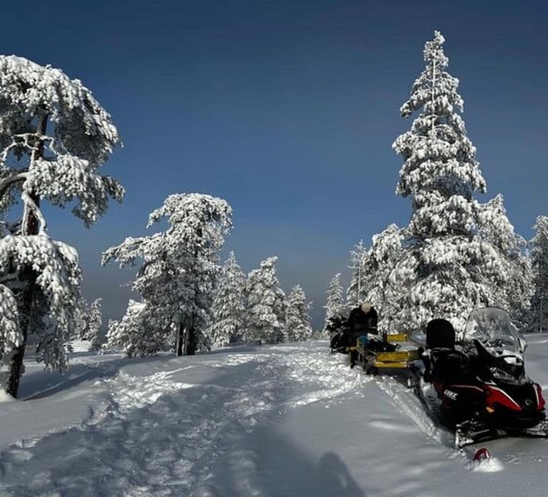 Rovaniemi: Snowmobile Safari to the Wilderness