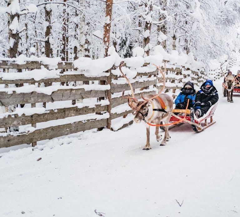 Rovaniemi: Snowmobile Safari, Reindeer & Husky Sleigh Ride