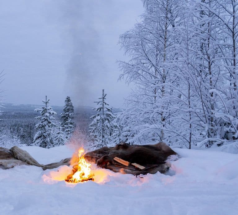 Rovaniemi: Snowmobile Sleigh Ride with Campfire Coffee