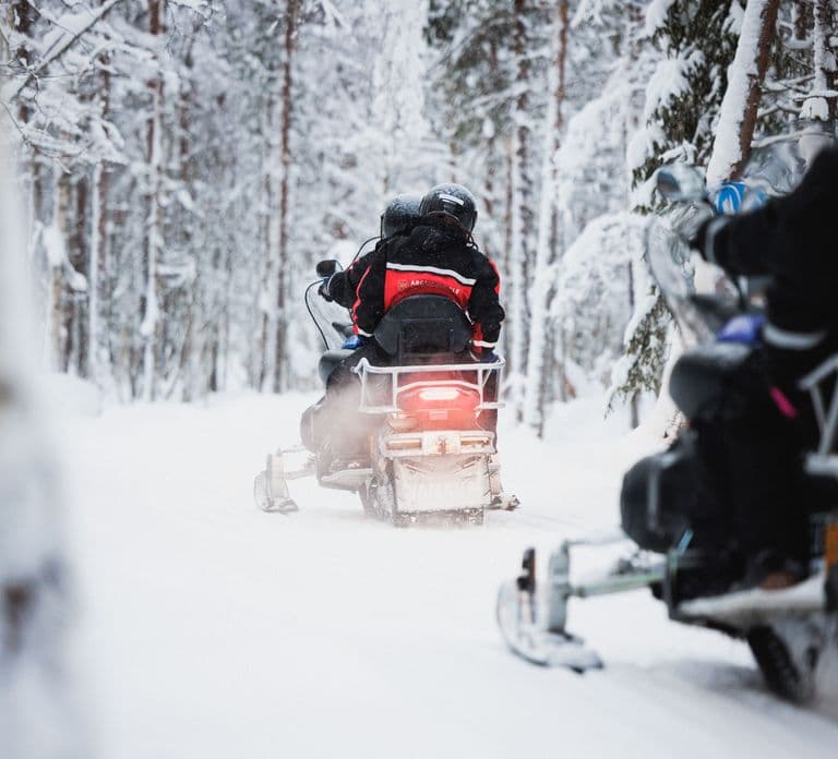 Rovaniemi: Snowmobile Tour and Reindeer Experience