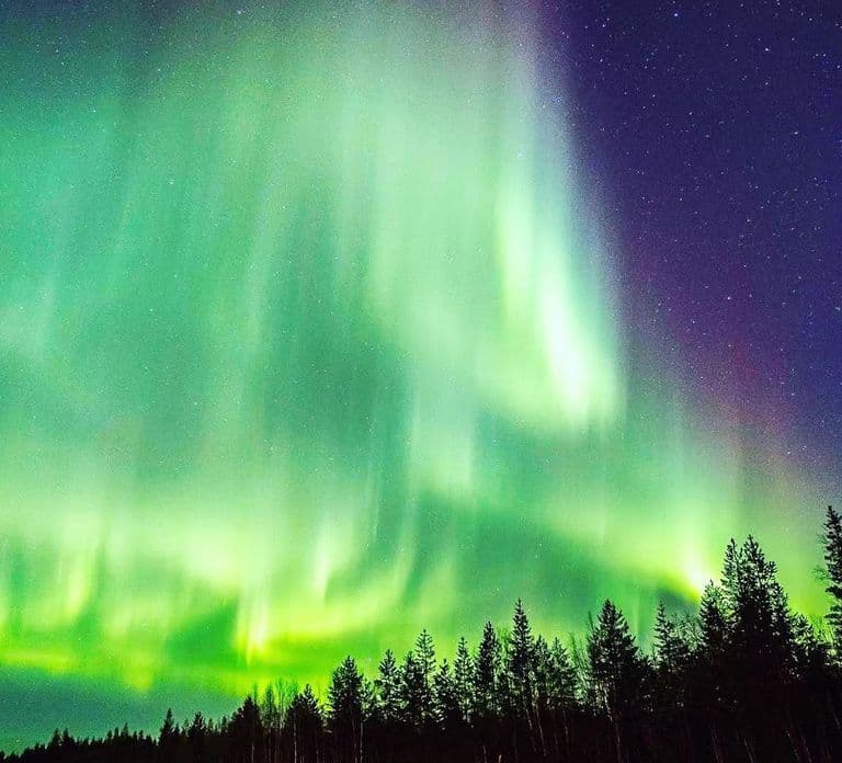 Rovaniemi: Snowmobiling under Aurora+Kota Salmon & Photos
