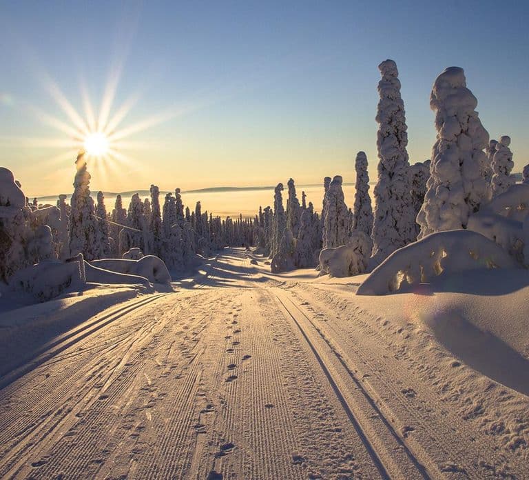 Rovaniemi: Snowshoeing, Ice Fishing and Salmon in Kota