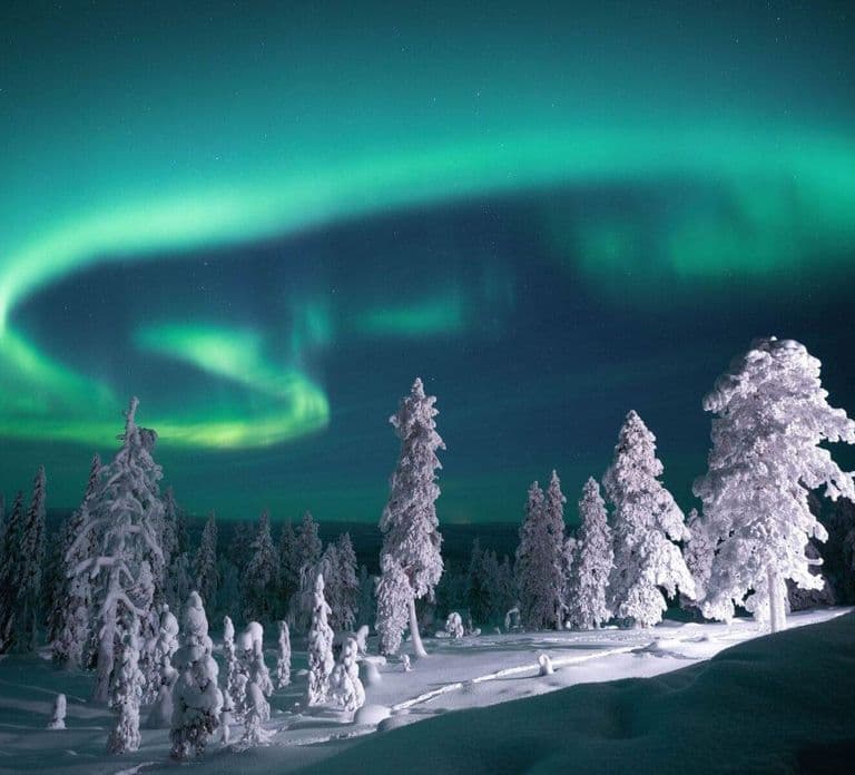 Rovaniemi: Snowy Forest Night Hike with Northern Lights