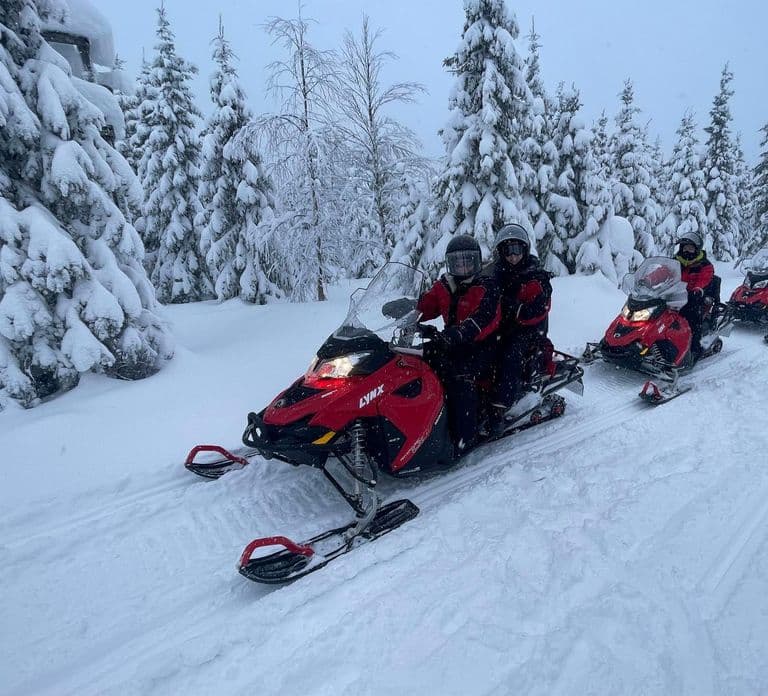 Ruka: Safari in motoslitta di 2 ore con snack e guida