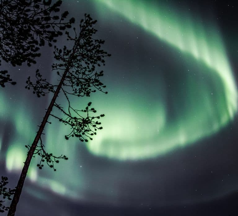 Saariselkä: Tour Fotográfico da Aurora Boreal de Carro com Traslado e Bebidas